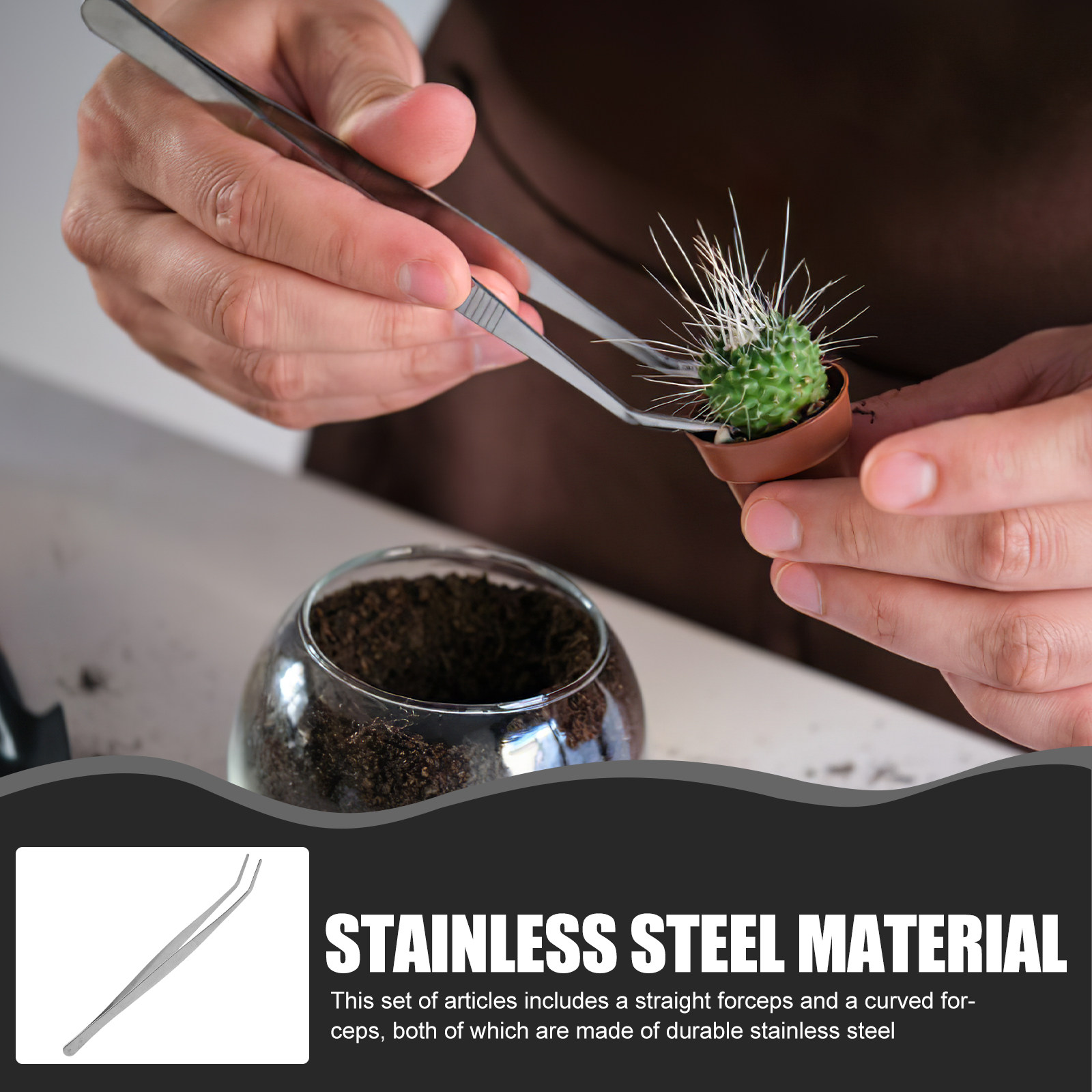 Feeding Tong Stainless - 2Pcs Set Pinset Stainless Steel Perak
