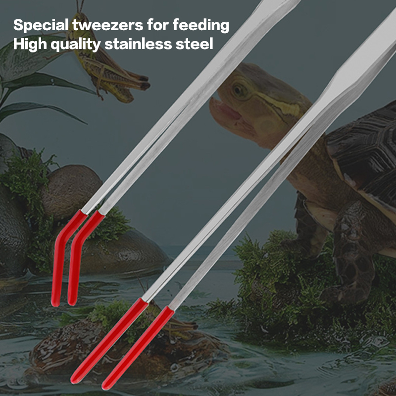 Alat Akuarium Profesional: Pin - Feeding Tong Stainless ulasan dan harga