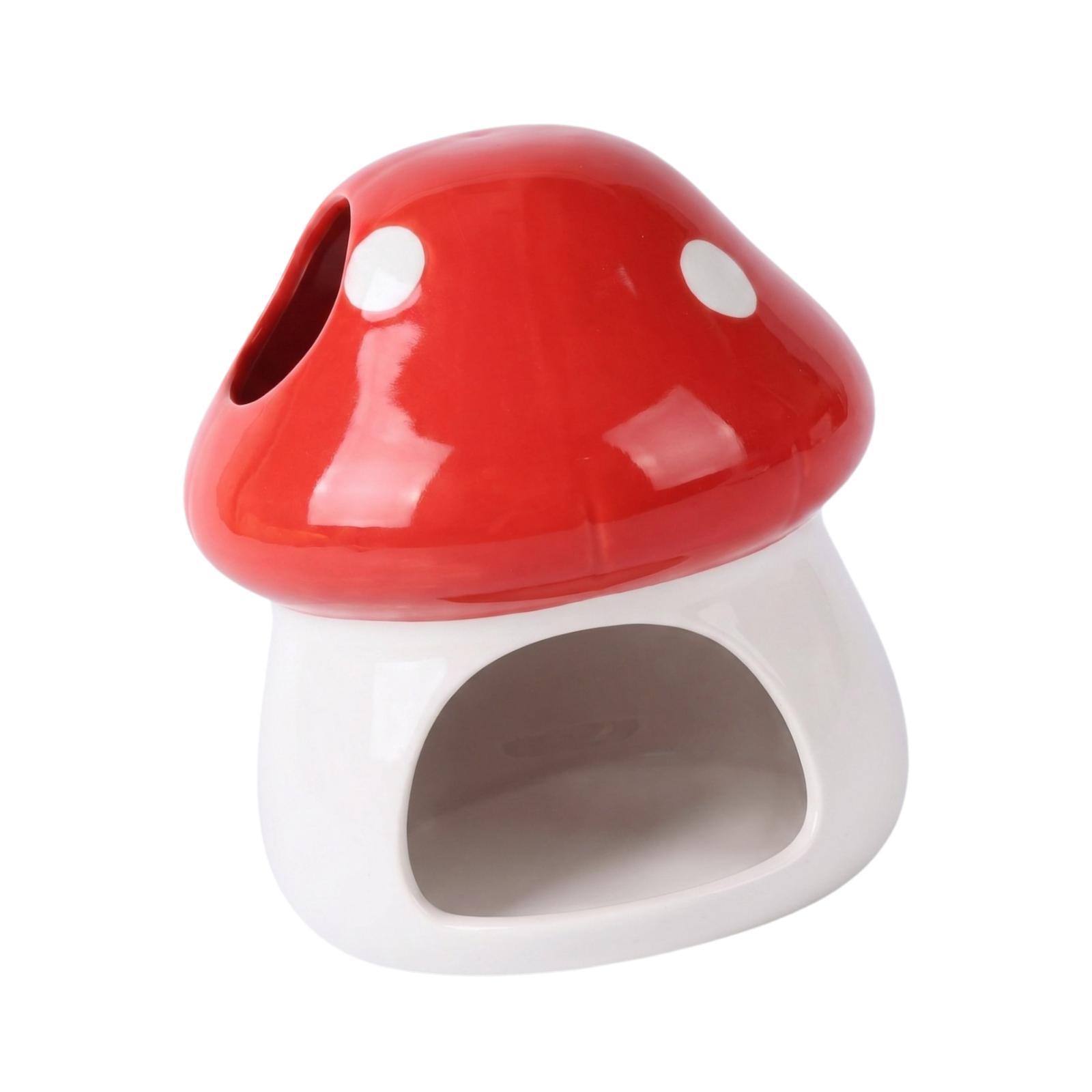 Rumah Keramik Hamster, Tempat  - Hide Cave Ceramic ulasan dan harga